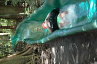  2007-12-10 14.59.14.JPG 